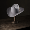 Rancher 160th Edition - Image 2