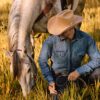 Shasta 10X Premier Cowboy Hat - Image 3